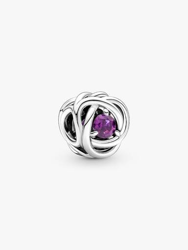 February Crystal Birthstone Eternity Circle Charm