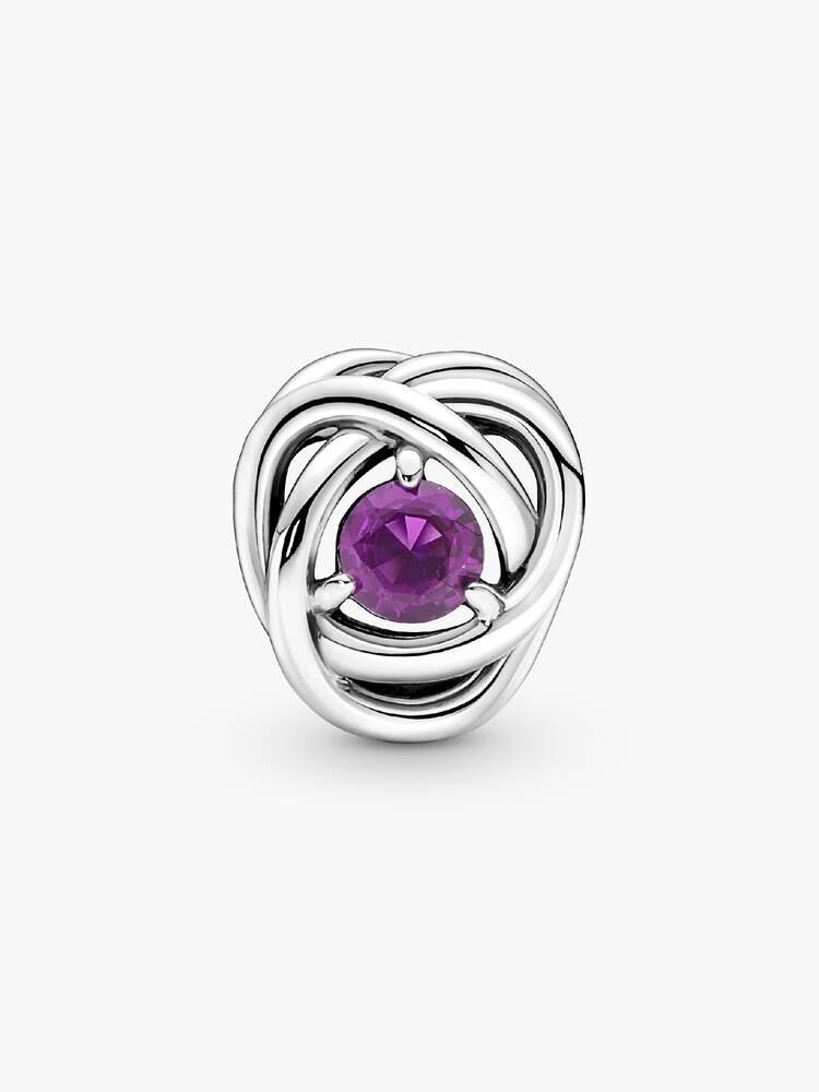 February Crystal Birthstone Eternity Circle Charm