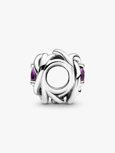 February Crystal Birthstone Eternity Circle Charm
