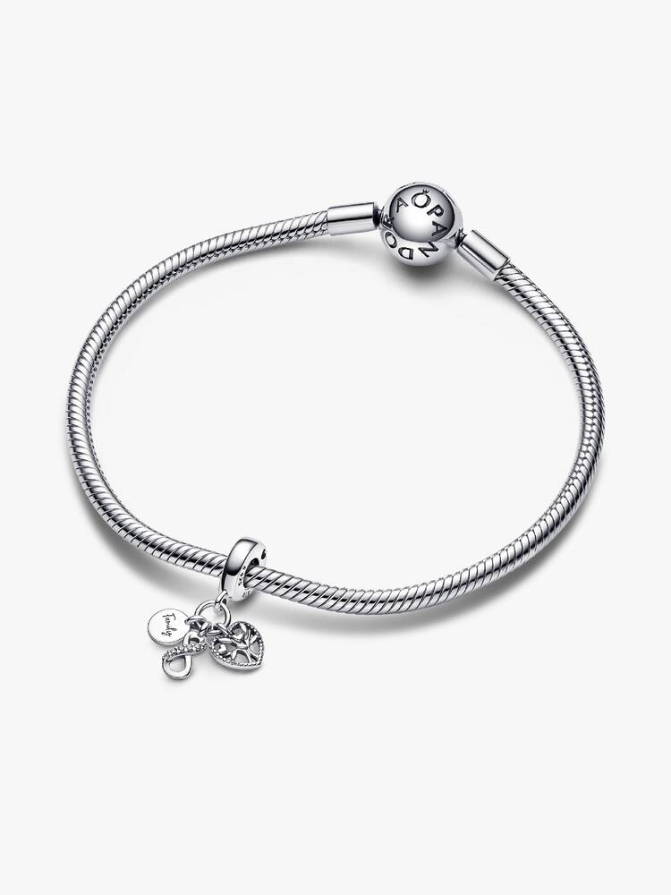 Family Infinity Triple Dangle Charm