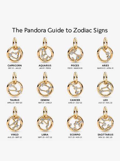 Scorpio Zodiac Dangle Charm